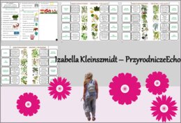 Sketchnotka/książeczka/notatka/wklejka/ściąga dla ucznia i przypomnienie dla nauczyciela/edukacja domowa. Temat „Przegląd i znaczenie roślin okrytonasiennych”. Materiał w pdf. Biologia 5, dział „Różnorodność roślin”. Nowość 2024/2025.