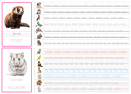 Nauka pisania po śladzie: Pets TRACING