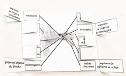 Ucho - okienkowa notatka