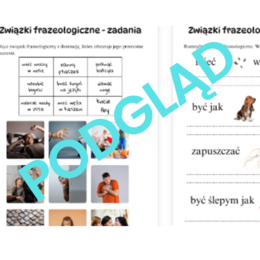 Związki frazeologiczne - zadania
