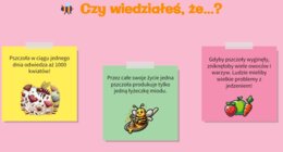 Znaczenie pszczół dla ekosystemu