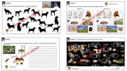 ?Wielkanocna promocja - Zabawy psie i kocie 10 zł