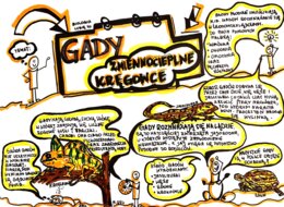 Klasa 6. Biologia. Gady (karta pracy kolorowa)