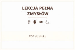 Konspekt lekcji z aktywnościami sensorycznymi