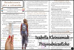 Książeczka/sketchnotka/notatka/wklejka/streszczenie dla ucznia i przypomnienie dla nauczyciela/edukacja domowa/materiał w pigułce. Temat „Dziedziczenie płci u człowieka” w pdf. Biologia 8, dział „Genetyka”. Nowość 2024/2025.