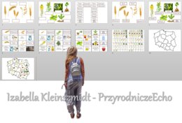 "Produkcja roślinna w Polsce/do zalaminowana/układanka/puzzle/rozmieszczenie upraw w Polsce/rozpoznawanie gatunków w pdf. „Produkcja roślinna”. Geografia 7 "Rolnictwo i przemysł Polski"