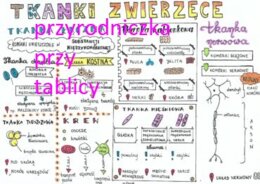 Klasa 7. Biologia. Tkanki zwierzęce