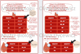 Dziedziczenie grup krwi