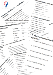 Flash 6 – Module 2 – vocabulary revision