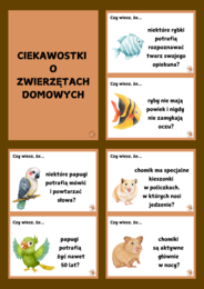 ZWIERZĘTA DOMOWE