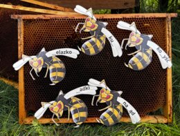 Gra w łapanie os - ortografia "rz" i "ż"