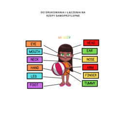 My body set - zestaw do nauki części ciała, organów oraz 5 zmysłów, CLIL