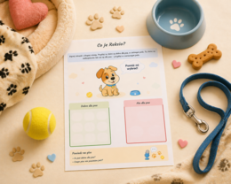 Co je Reksio? Dopasowywanie obrazków