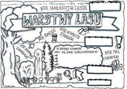 Warstwy lasu. Kolorowanka .klasa 4