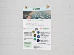 Plakaty o ekosystemach. Las, łąka, jezioro, morze, góry.