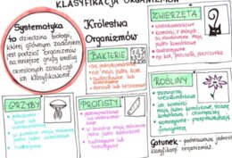 Klasyfikacja organizmów (sketchnotka)