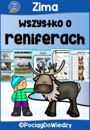 Zima - Wszystko o reniferach