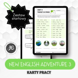 New English Adventure 3 - Unit 4 There's a park - 2 karty pracy