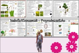 Zestaw sketchnotek/książeczek/notatek/wklejek/ściąg dla ucznia i przypomnień dla nauczyciela/edukacja domowa w pdf do całego działu. Biologia 5, dział „Różnorodność roślin”. Nowość 2024/2025.