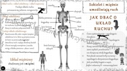 Sketchnotka „.Szkielet i mięśnie umożliwiają ruch” w power point do edycji, PRZYRODA do klasy 4 – dział IV „Odkrywamy tajemnice ciała człowieka”