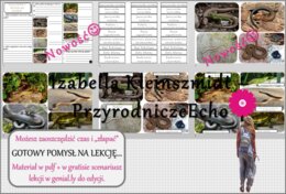Pomysł na lekcję/karta pracy/stacje zadaniowe/ materiał do lekcji do tematu „Przegląd i znaczenie gadów” w pdf. W gratisie niekomercyjny scenariusz lekcji/pomysł na lekcję w programie genial.ly do edycji. Biologia 6. Dział „Kręgowce zmiennocieplne”.