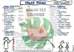 PRZYRODA - Ciało człowieka - Układ ruchu (układ szkieletowy i mięśniowy) - kolor