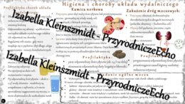 Sketchnotka - notatka „Higiena i choroby układu wydalniczego” wykonana w power point do edycji. Biologia 7; „Układ wydalniczy”