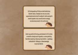 DZIEŃ JEŻA - ZESTAW