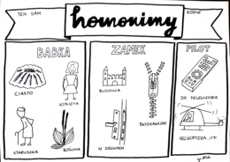 Język polski. Homonimy i homofony