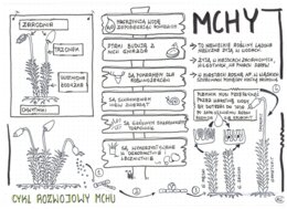 Mchy klasa 5 - Biologia