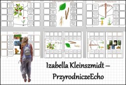 Notatka okienkowa „Budowa korzenia”, „Organy wegetatywne rośliny zielnej”, „Modyfikacje korzenia” , "Korzeń - organ podziemny rośliny" w pdf. Biologia 5 dział „Tkanki i organy roślinne”.