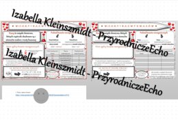 Minizestaw na temat „Wzory i nazwy kwasów” – sketchnotka + karta pracy w power point + gratisowy link do prezentacji multimedialnej niekomercyjnej wykonanej w genial.ly do indywidualnego pobrania i użycia do celów niekomercyjnych. Chemia 7 lub 8, „Kwasy”