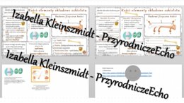 Minizestaw na temat „„Budowa kości” – sketchnotka + karta pracy w power point + gratisowy link do prezentacji multimedialnej niekomercyjnej wykonanej w genial.ly do indywidualnego pobrania i użycia do celów niekomercyjnych. Biologia 7, „Układ ruchu”