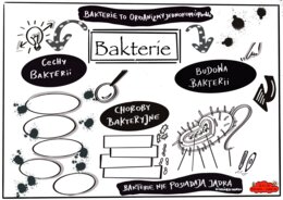 Klasa 5, Biologia, karta pracy, Bakterie (karta pracy do uzupełnienia)