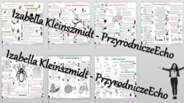 Zestaw sketchnotek – notatek do całego działu „Stawonogi i mięczaki” wykonanych w power point do edycji. Biologia 6