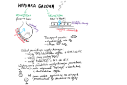 Wymiana gazowa - notatka dla ucznia