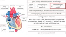 Jak uczyć biologii kreatywnie? Sketchnotki, eksperymenty i odkrywcze lekcje – webinar Anety Górzyńskiej