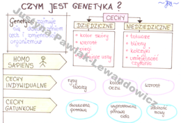 Czym jest genetyka? (sketchnotka)
