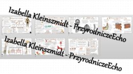Zestaw sketchnotek – notatek do całego działu „Aparat ruchu” wykonanych w power point do edycji. Biologia 7
