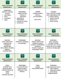 POWTÓRKI PRZED EGZAMINEM ÓSMOKLASISTY/DIAGNOZA NA STARCIE W LICEUM (TECHNIKUM)