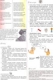 H. Sienkiewicz "Potop" - opracowanie maturalne - 17 stron