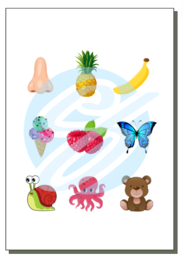 LOGOPEDIA KWESTIONARIUSZ BADANIA MOWY NADAWANIE MOWY 3-6 LAT PRZEDSZKOLE