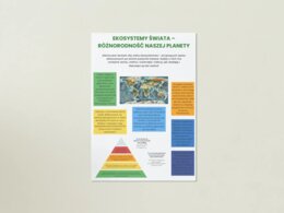 Plakaty przedstawiające ekosystemy, zwierzęta, rośliny, ochronę środowiska.