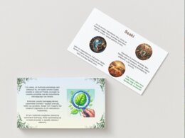 Kolorowe ilustracje zwierząt, roślin i grzybów