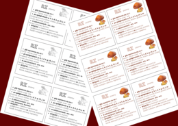 "RZ" - ZASADY ORTOGRAFICZNE - ortografia - WKLEJKA