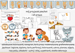 W schronisku - Prawa zwierząt - mój przyjaciel pies/kot