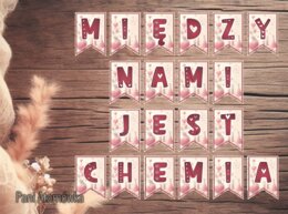 Girlanda / baner / proporczyk / napis / dekoracje / ścienna gazetka szkolna. MIĘDZY NAMI JEST CHEMIA! Walentynki. Święto zakochanych.