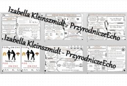 Zestaw sketchnotek – notatek do całego działu „Ważne prawa” wykonana w power point do edycji - wykonanych w power point do edycji. Chemia 7