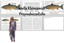 Materiał do zalaminowania/praca w grupach/puzzle/układanka/wykreślanka/labirynt. „Ryby – kręgowce środowisk wodnych” w pdf. Biologia 6, dział „Kręgowce zmiennocieplne”.