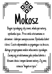 Mitologia Słowiańska - Historia na kartach